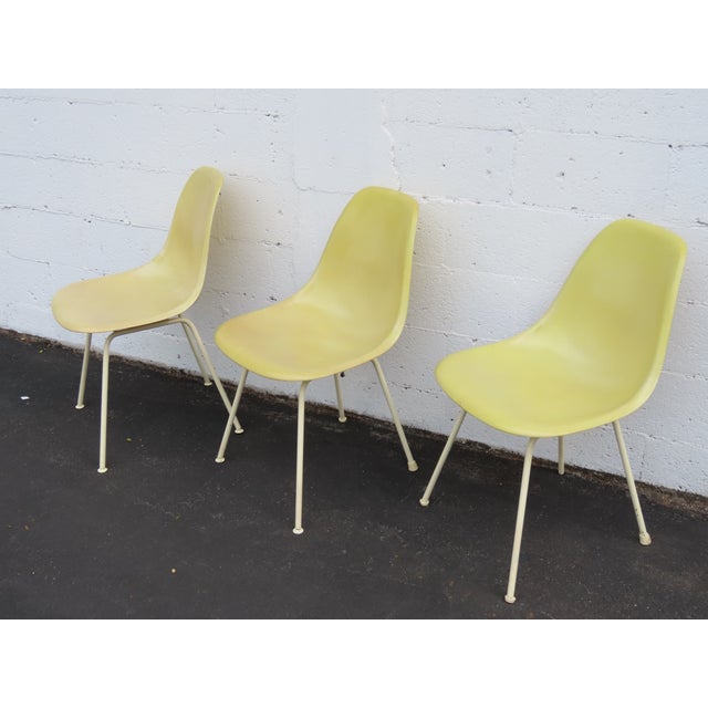 Herman Miller Eames Set of 3 Fiberglass Shell Chairs 1960s Light Yellow 6640 For Sale - Image 12 of 18