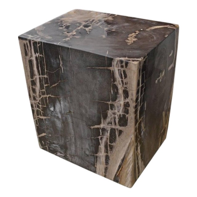 Andrianna Shamaris Petrified Wood Side Table For Sale