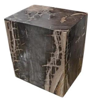 Andrianna Shamaris Petrified Wood Side Table