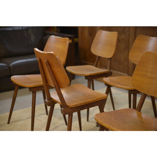 Vintage Brown Oak Chairs, 1960s, Set of 8, in Very Good conditions. Designed 1960 to 1969