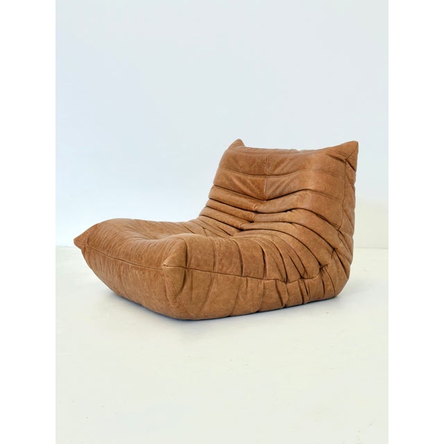 Togo Armchair with Ottoman in Cognac Leather by Michel Ducaroy for Ligne Roset, 2000s, Set of 2 For Sale - Image 9 of 14