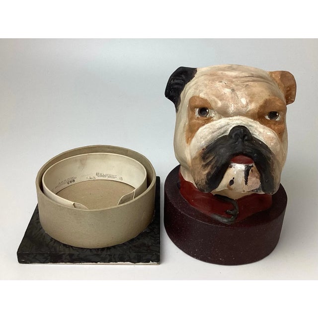 English Bulldog Head Papiermâché Collar Box Chairish