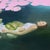 Milena Kwiatkowska, No Title, Series: Suspended in Time, Ophelia, 2026, Oil on Canvas For Sale - Image 4 of 6