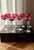 Ruby Cut-to-Clear Crystal Cordial Glasses attributed to Val Saint Lambert, 1950, Set of 8 For Sale - Image 10 of 18