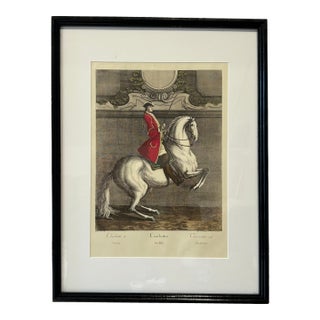 Antique Equestrian Dressage Original Print For Sale