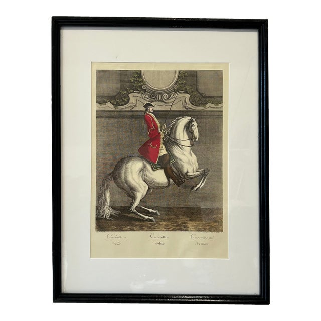 Antique Equestrian Dressage Original Print For Sale