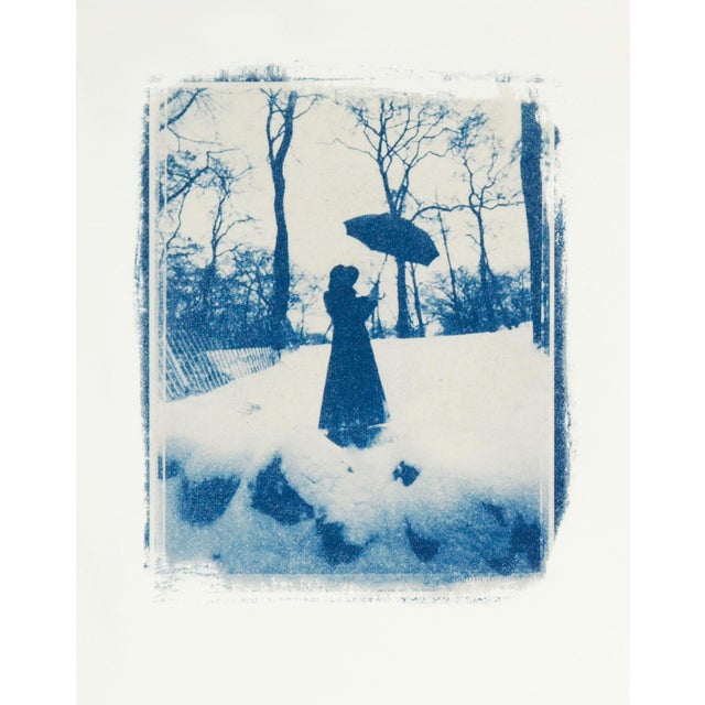 “Central Park Winter” Giclee From Cyanotype by CKB - For Sale