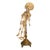 Antique 19thC Anatomical Conjoined Syncephalus Twins Skeleton Medical Model 1860 For Sale - Image 13 of 17