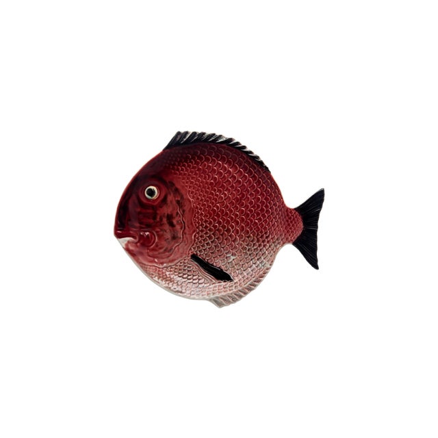 Between artistic freedom and the reproduction of the animal life, the use of the fish in this service’s pieces is the...