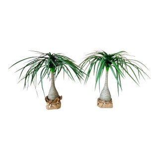 Pair Tropical Coastal Canvas Ponytail Palms For Sale