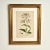 Paper Antique Group of Nine Hand Colored Botanical Prints For Sale - Image 7 of 18