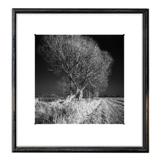 Paul Cooklin, West Thorpe IV, Edition of 50 For Sale