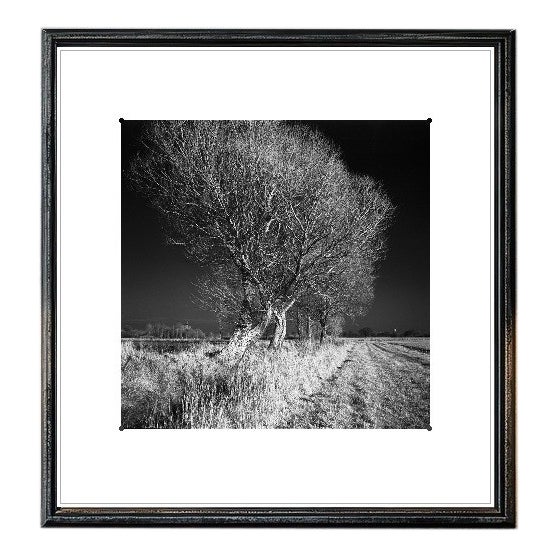 Paul Cooklin, West Thorpe IV, Edition of 50 For Sale
