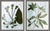 Hable Sprout and Sprig by Susan Hable For Sale - Image 4 of 4