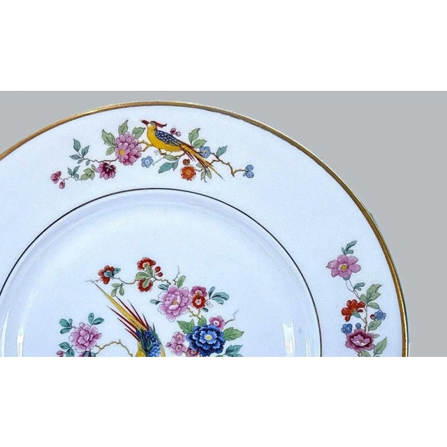 Mid Century Lamberton China Audubon Collection - Bird of Paradise - 8 Dinner Plates For Sale - Image 10 of 13