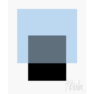 The Interaction of Powder Blue and Black Fine Art Print 30" X 40" by Liz Roache For Sale