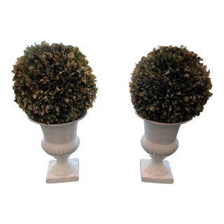 White Neoclassic Porcelain Urns With Boxwood Orbs - A Pair For Sale