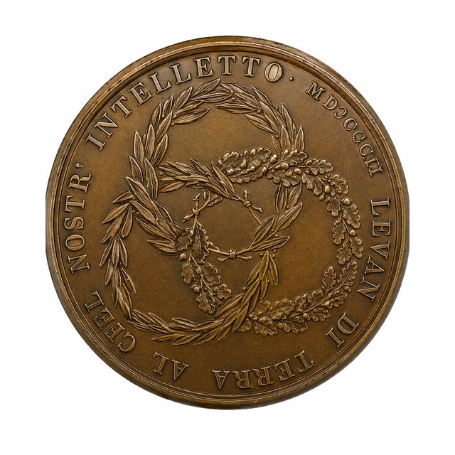 Metal 19th Century Bronze Medal Michelangelo Buonarroti by Santarelli Florence Italian Art Medal For Sale - Image 7 of 8