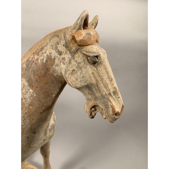 Terracotta Sculpture of a Horseman, Han Dynasty, 206 BC - 220 AD, Mingqi, China For Sale - Image 10 of 12