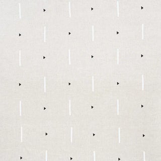 Sample - Schumacher X Caroline Z Hurley Tashmoo Fabric in Black & White For Sale
