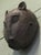 Large African Benin Bronze Leopard's Head, 1950 For Sale - Image 4 of 9