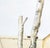 Contemporary Denis Polge Surrealist Composition Watercolor For Sale - Image 3 of 9