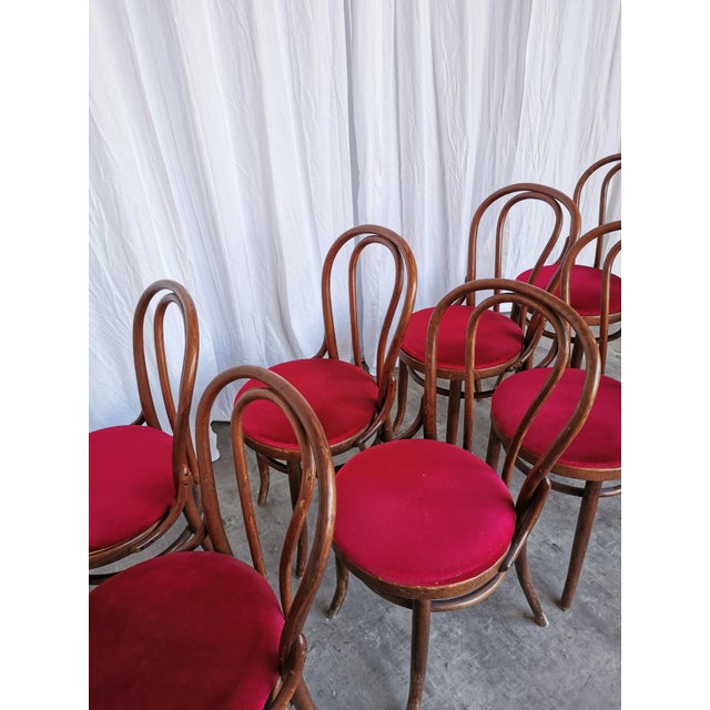 Vintage Bentwood Bistro Chairs, 1970s, Set of 8 For Sale - Image 9 of 18