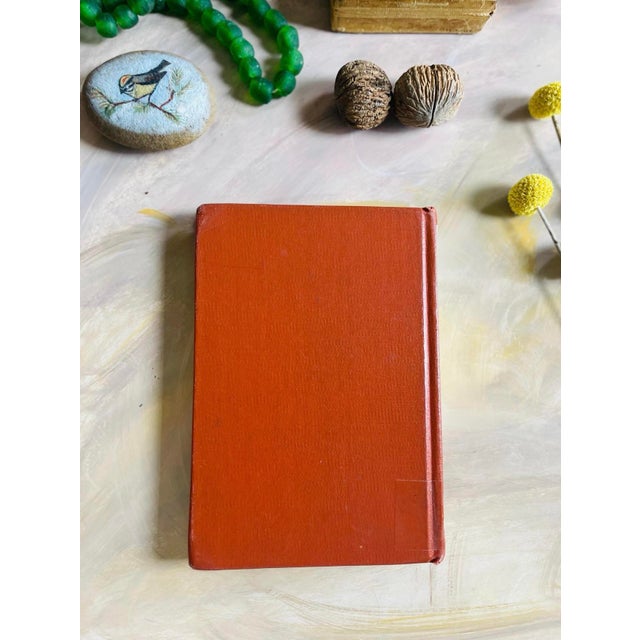 vintage teen mystery book, with lovely color vinyl cover making it adorable to display and read. 8"x5"x1" previously a...