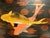 Antique Japanese Maki-e Lacquered Koi Fish Tray for your consideration. The tray measures approx. 13 7/8 inches long, 9...