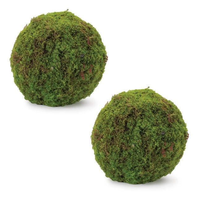 Enhance your home with the natural beauty of the Faux Moss Orb. Measuring 8.5"D, this moss orb features rich green tones...
