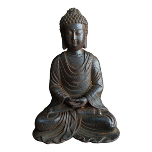 Iron Shakyamuni Buddha Statue - Spiritual Statement Piece