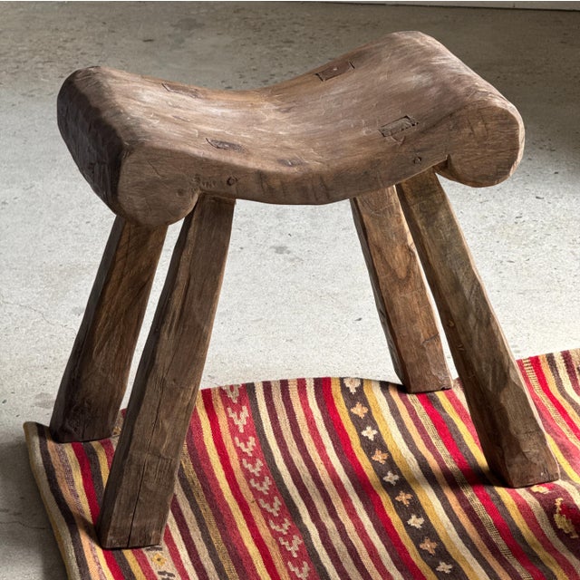 Side Table in Petrified Wood, Black Heartwood and White Bark, 1980s For Sale - Image 14 of 18
