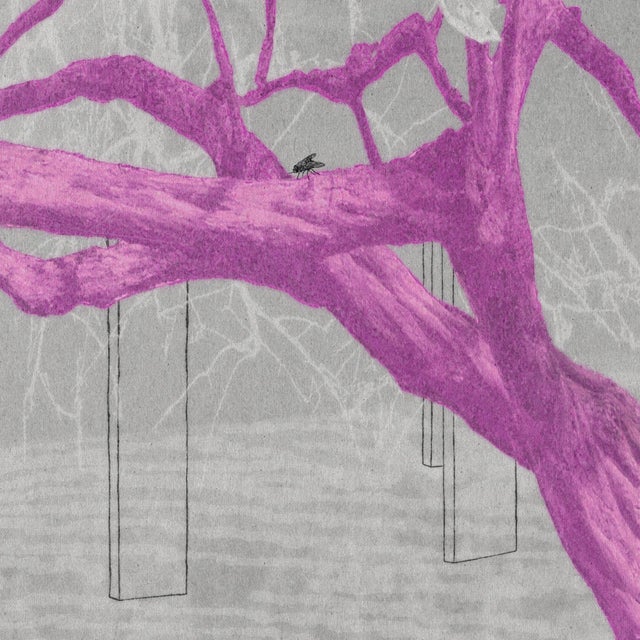 Contemporary The Peacock by Steve Moors, 38" X 38" Framed For Sale In New York - Image 6 of 11