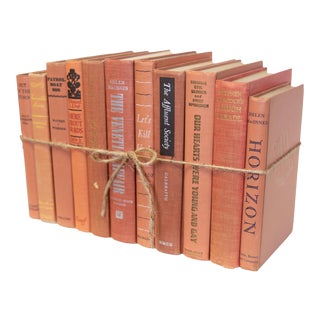 Mid-Century Terracotta ColorPak For Sale