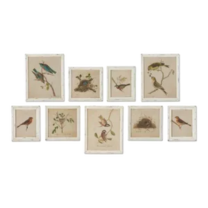 Framed Aviary Bird & Nest Gallery Grouping