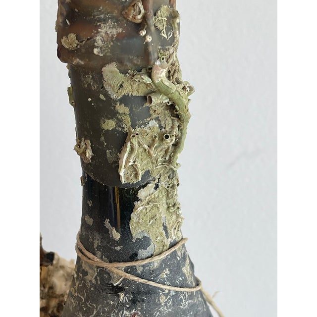 Antique champagne bottle with organic grown oyster shells on it.
