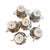 Ceramic Set of Six Antique English Coalport Indian Tree Scalloped Flat Bouillon Cups & Saucers, Circa 1891–1919 For Sale - Image 7 of 8