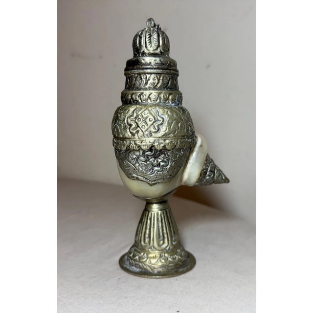 Antique Anglo Indian Tooled Silver Metal Mounted Nautilus Shell Lidded Cup Box For Sale - Image 4 of 13
