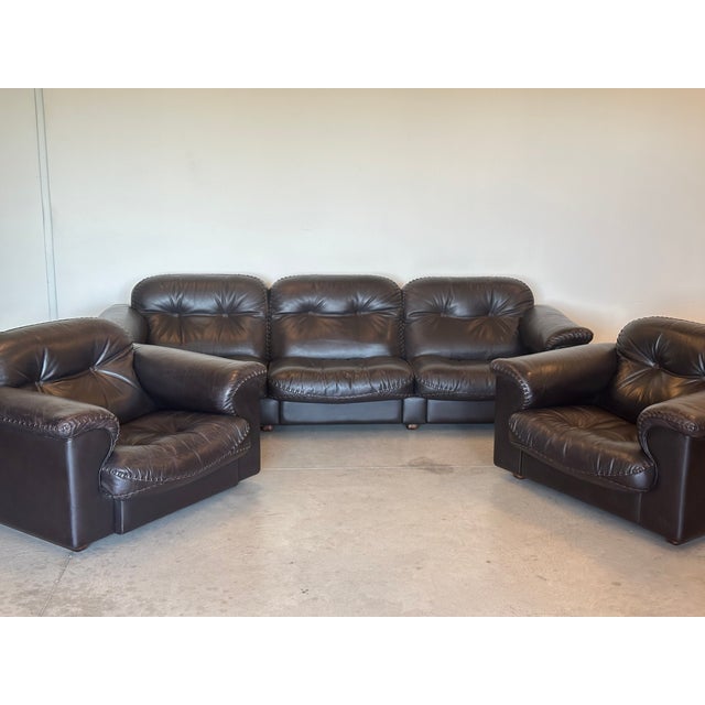 Leather Model DS 101 Armchairs from de Sede, 1970s, Set of 2 For Sale - Image 11 of 13
