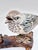 Vintage Hand-Carved & Painted Wooden House Sparrow Bird Sculpture on Driftwood Base For Sale In New Orleans - Image 6 of 12