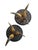 Pair of horn stools. Pieces for your Western decor or Mountain home. 7.5"H x 10.5D