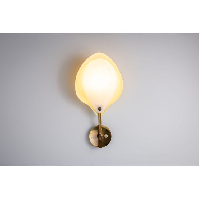 Plastic and Brass Wall Lamp by Arnold Wiigs For Sale - Image 4 of 11