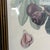 Printmaking Materials Set of 3 Framed Fruit Botanical Prints - Classic Wall Art For Sale - Image 7 of 7