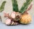 Vintage Fitz & Floyd Oceana Seashell Ceramic Tissue Box Cover & Soap Dish – Coastal / Palm Beach For Sale - Image 12 of 16