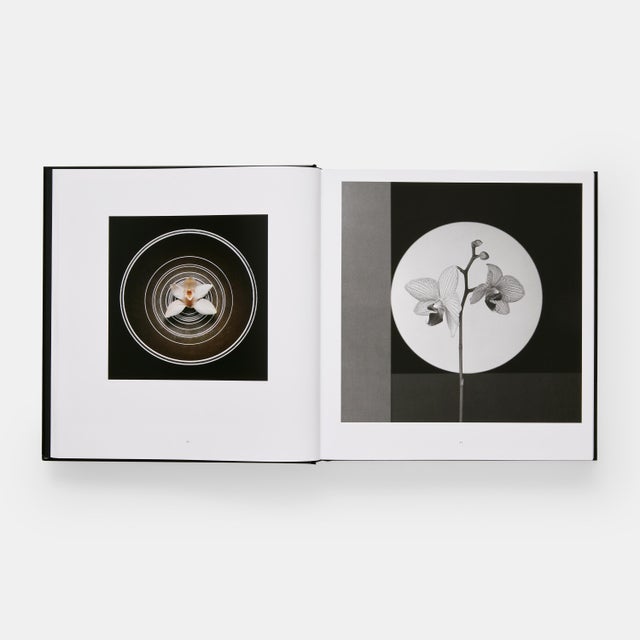 Mapplethorpe Flora Book For Sale - Image 9 of 10