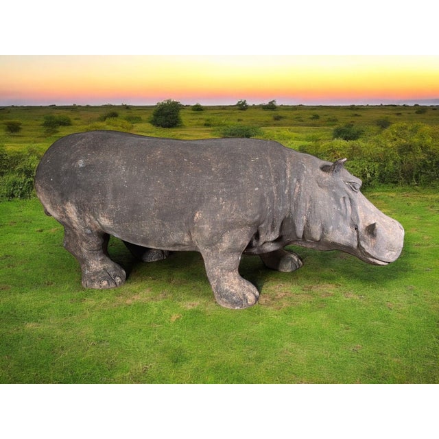 Mid-20th Century Terracotta Hippopotamus, Tuscany, 1950 For Sale - Image 13 of 14