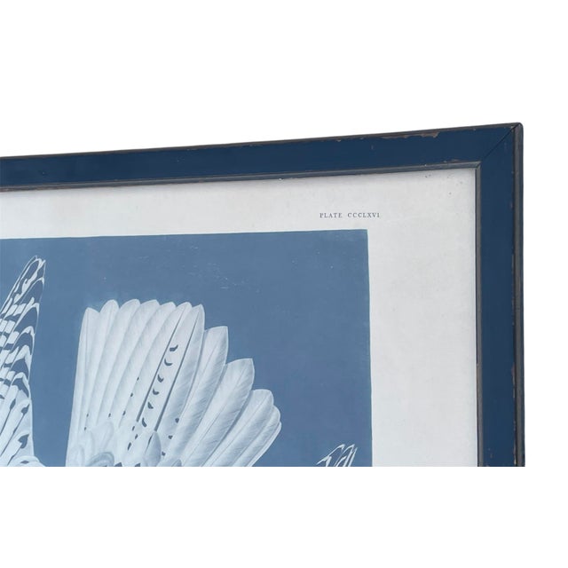 John James Audubon Antique Audubon Print by K. Havell 1837 For Sale - Image 4 of 10