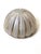 Sea Urchin Frosted Glass Wall Lights with Golden Glow, 1970s, Set of 2 For Sale - Image 16 of 18