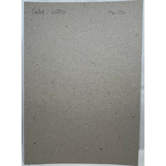 Antique Hand Tinted Bird Print From England Featuring a Vibrant Red Parrot Crossbill - Circa 1888 For Sale - Image 11 of 11