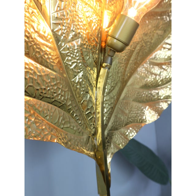 Vintage Rhubarb Floor Lamp by Tommaso Barbi for Bottega Gadda, 1970 For Sale - Image 10 of 15
